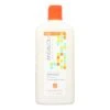 Andalou Naturals Revitalizing Shampoo With Argan And Sweet Orange (11.5 Fl Oz) -Pure Living Space Shop 30694001 db811cdc 4a86 4607 a774 c40eafa163b9