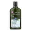 Avalon Organics Volumizing Rosemary Conditioner For Thicker, Healthier Hair (11 Fl Oz) 1 Avalon Organics Volumizing Rosemary Conditioner For Thicker, Healthier Hair (11 Fl Oz) -Pure Living Space Shop 30792364