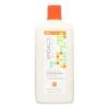 Andalou Naturals Argan & Sweet Orange Enriching Conditioner (11.5 Fl Oz) -Pure Living Space Shop 30795682