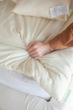 100% Wool Duvet Comforter Encased In Organic Cotton 12 100% Wool Duvet Comforter Encased In Organic Cotton -Pure Living Space Shop DSC 6953ver.gor