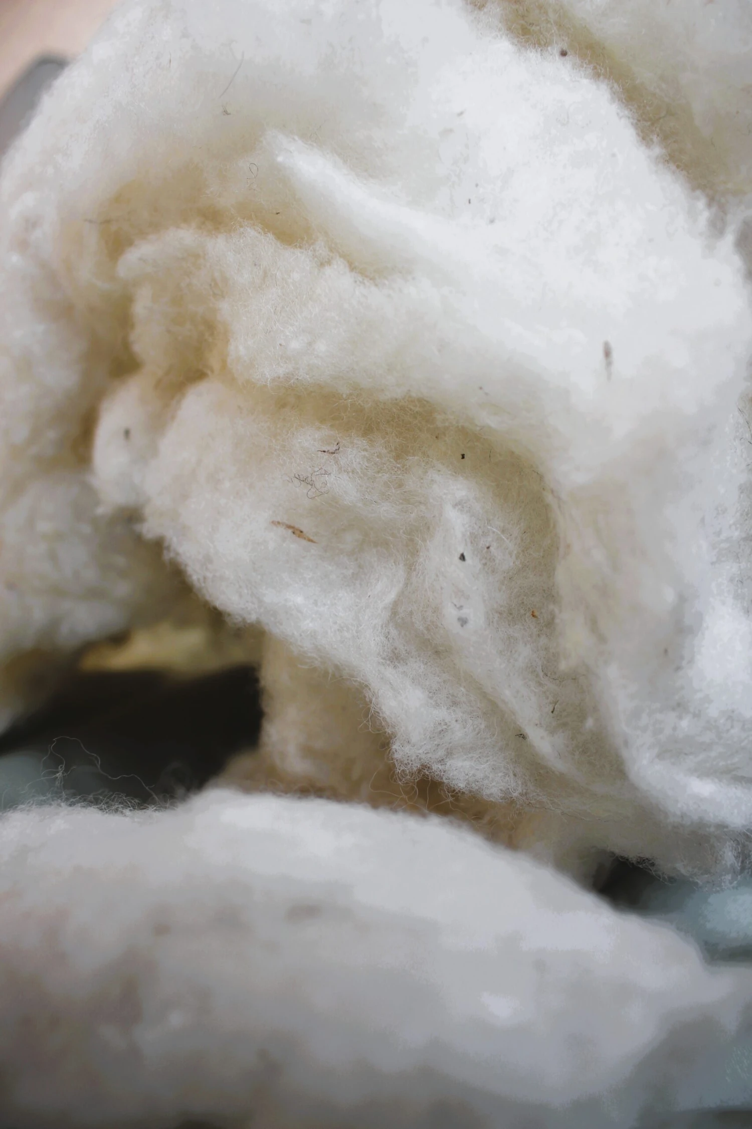 Child's Junior Pillow - Eco-Wool With Organic Cotton Cover 5 Child's Junior Pillow - Eco-Wool With Organic Cotton Cover - Image 4