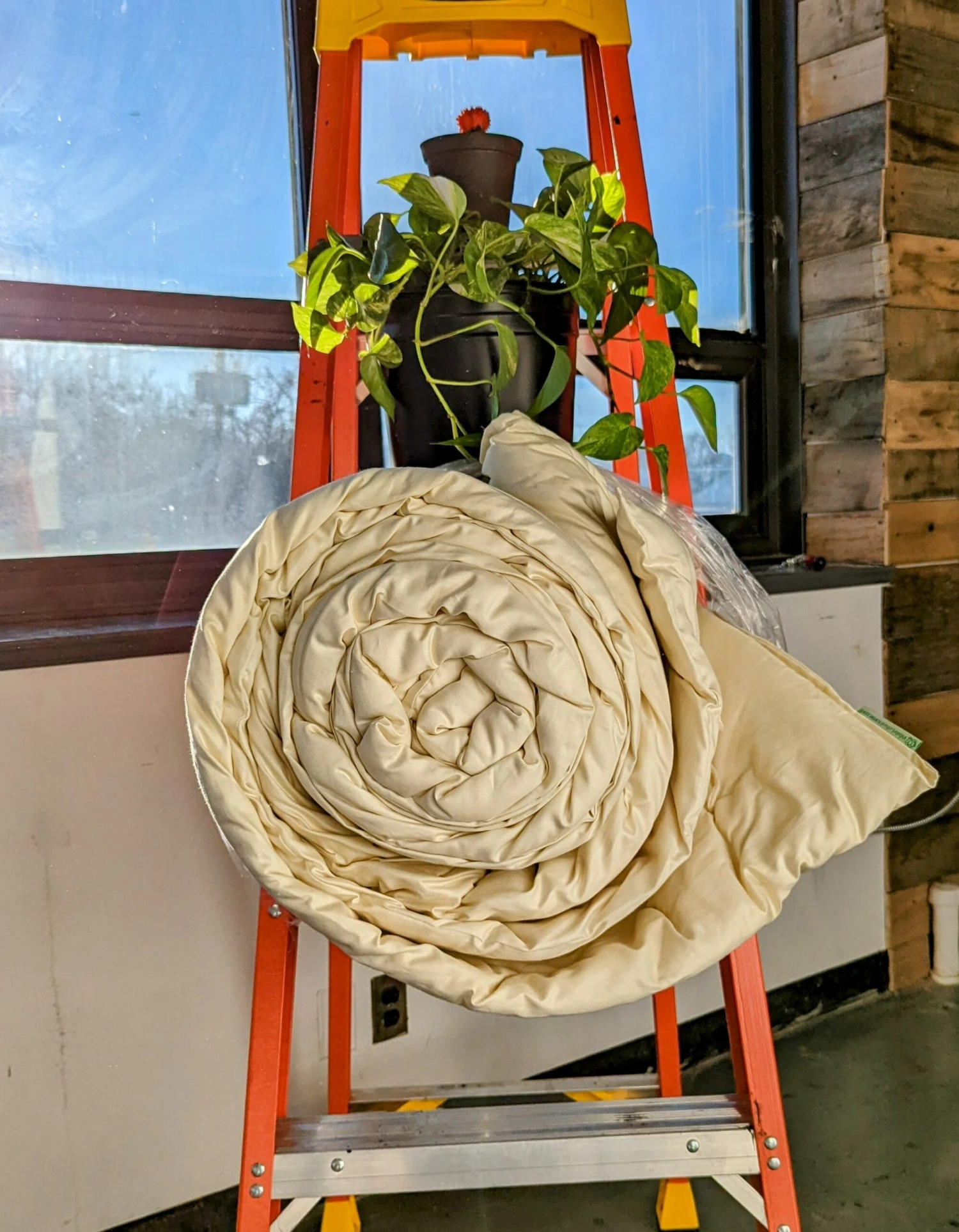 100% Wool Duvet Comforter Encased In Organic Cotton 3 100% Wool Duvet Comforter Encased In Organic Cotton