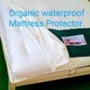 Organic Cotton Waterproof Mattress Protector - Full Encasement
