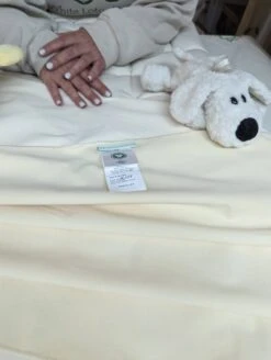 Child's Organic Cotton Waterproof Fitted Mattress Cover -Pure Living Space Shop PXL 20231116 185154893.MP 01b26918 e2f7 4b93 90d1 2eb17b30e3f8