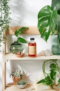 Pure Living Space Shop 30 Pure Living Space Shop -Pure Living Space Shop PureWitchHazel BMUO 03