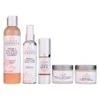 Organic Anti-Wrinkle Solution 5 PC Kit -Pure Living Space Shop organic anti wrinkle solution 5 pc kit 553580