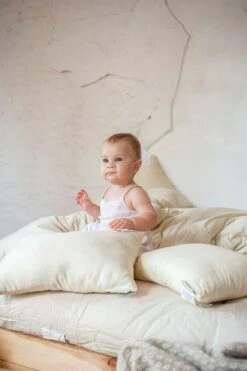 Child's Junior Pillow - Eco-Wool With Organic Cotton Cover