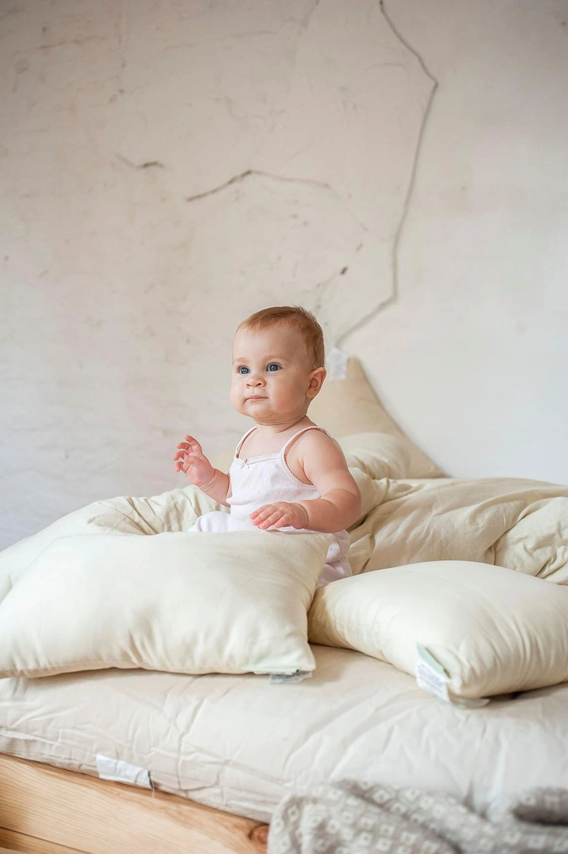 Child's Junior Pillow - Eco-Wool With Organic Cotton Cover 2 Child's Junior Pillow - Eco-Wool With Organic Cotton Cover